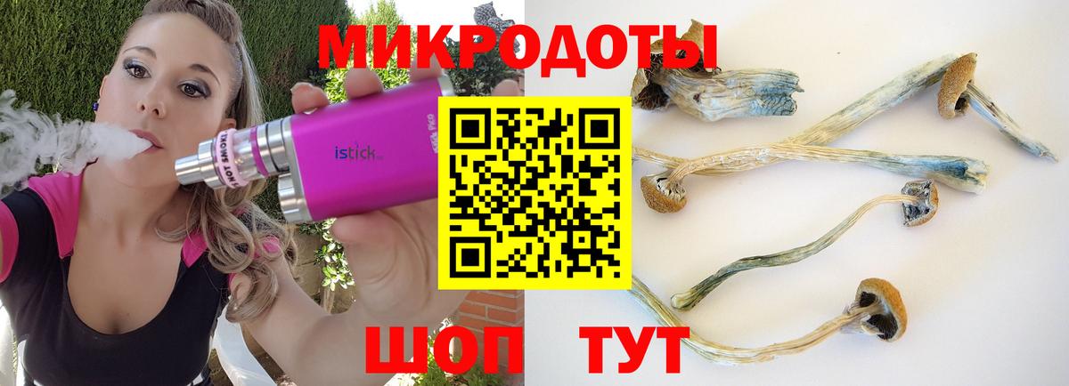 Псилоцибиновые грибы GOLDEN TEACHER Черняховск